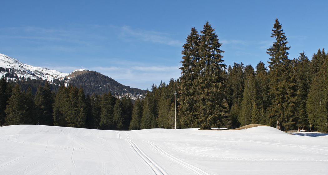 La-Pala-Rennloipe (chm_3ad2f9f_img)