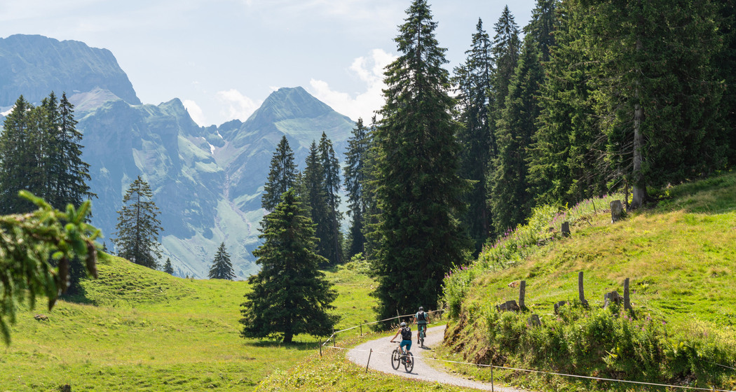 Montfort Bike (chm_3b18552_img)