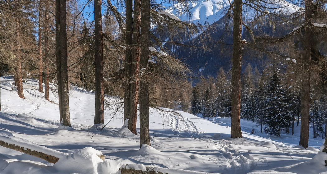 La-Plaiv-Winterwanderweg (chm_3ff691e_img)