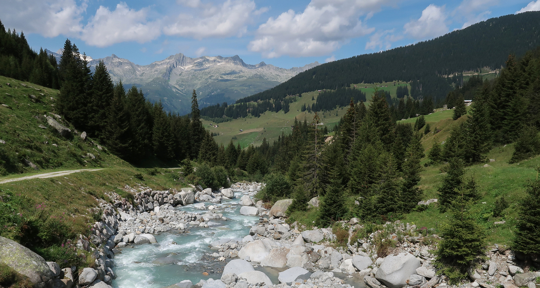 Senda dils senns Val Plattas (chm_47fde9c_img)