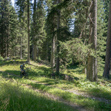 Alp Casanna (chm_4b0540f_img)