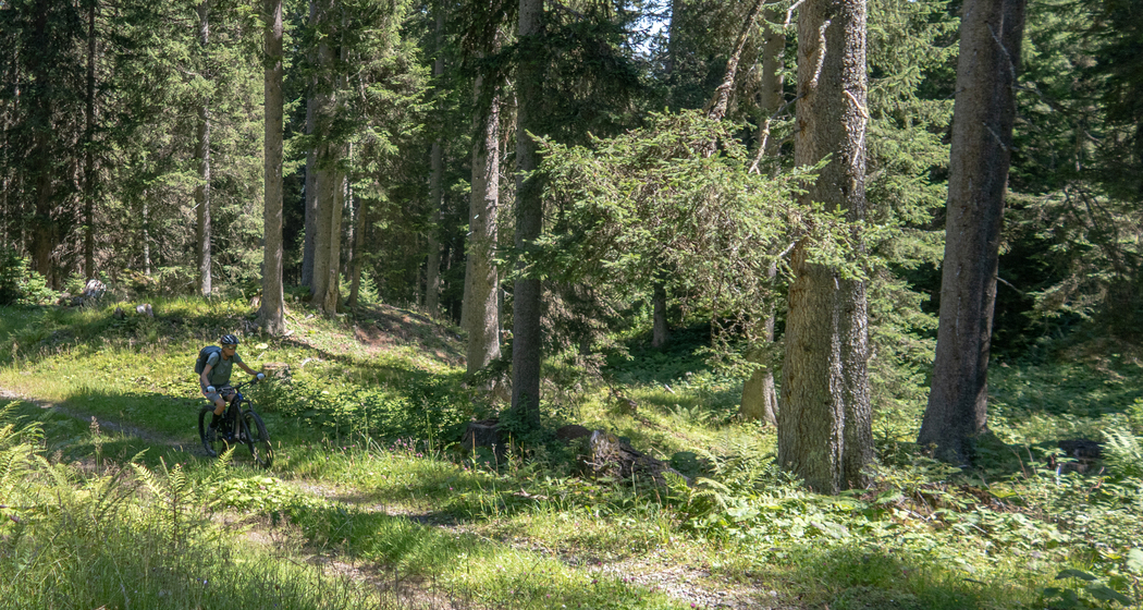 Alp Casanna (chm_4b0540f_img)