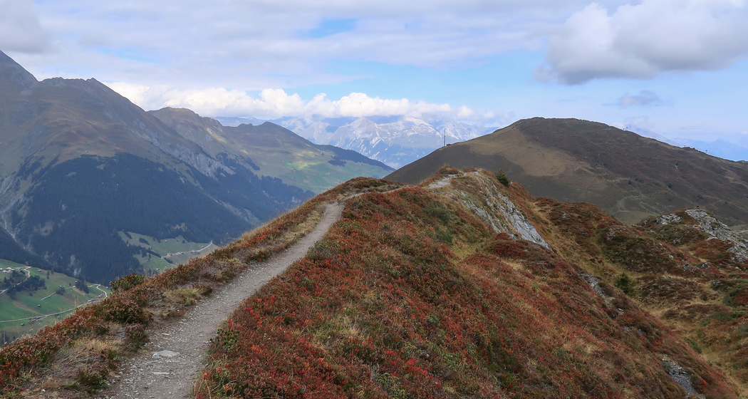 Heinzenberger-Gratweg (chm_4d32bd4_img)