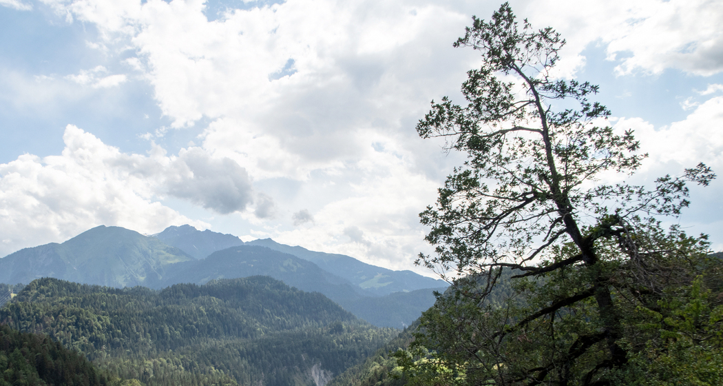 Jakobsweg Graubünden: Etappe 13 (chm_4d33865_img)