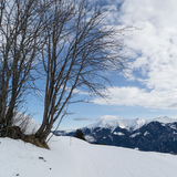 Tschappina-Winterwanderweg (chm_4f5dbc0_img)