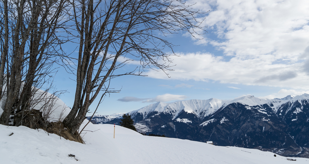 Tschappina-Winterwanderweg (chm_4f5dbc0_img)