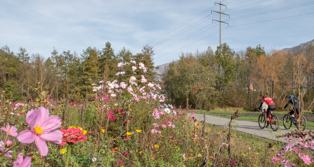 Churer Rheinroute (chm_5139d0c_img)