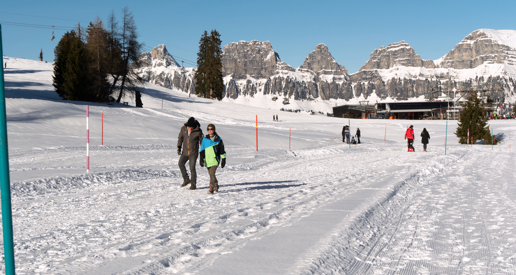 Prodalp-Panüöl-Weg (chm_56b8835_img)