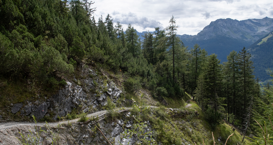 Val di Campo (chm_5ef376b_img)