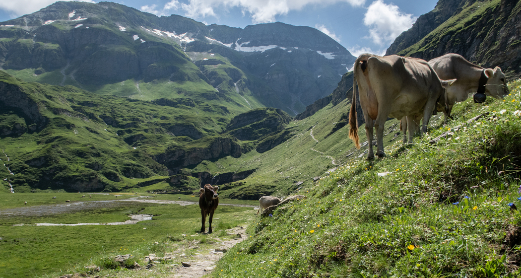 Walserweg: Etappe 3 (chm_6165d64_img)