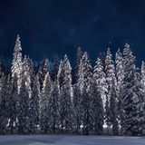 Pista Fracch–Diga (chm_62d5118_img)