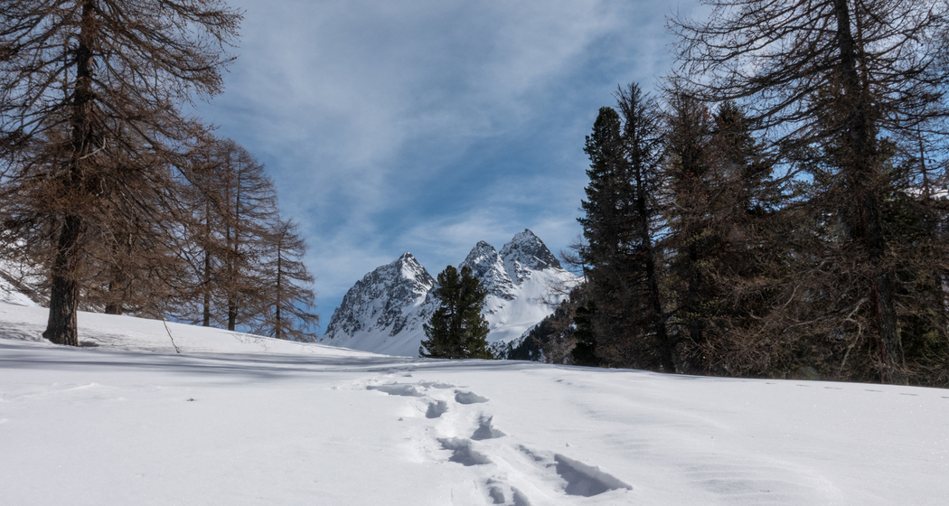 Palpuogna-Schneeschuhtrail (chm_6496784_img)