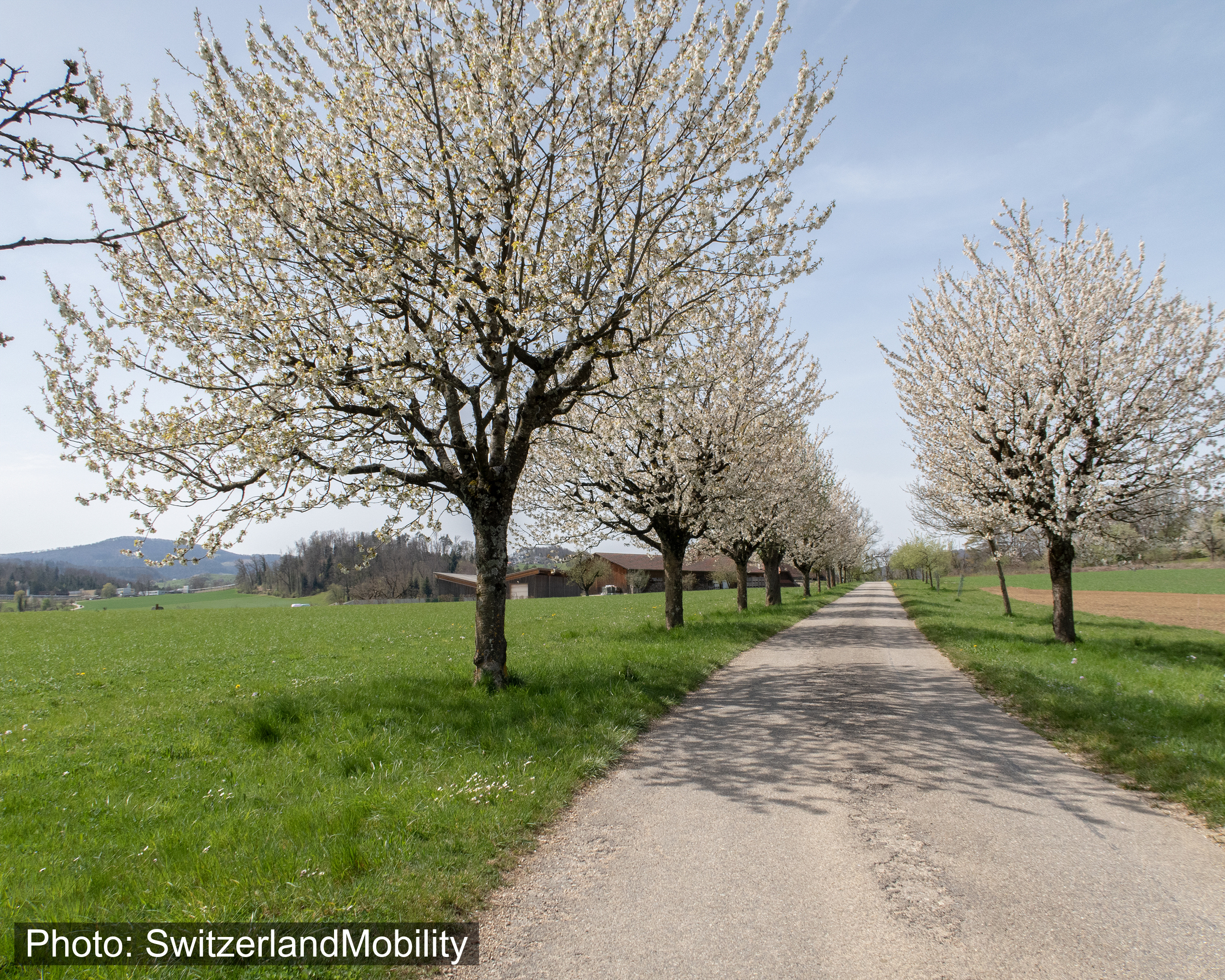 Wildenstein – Rifenstein Weg