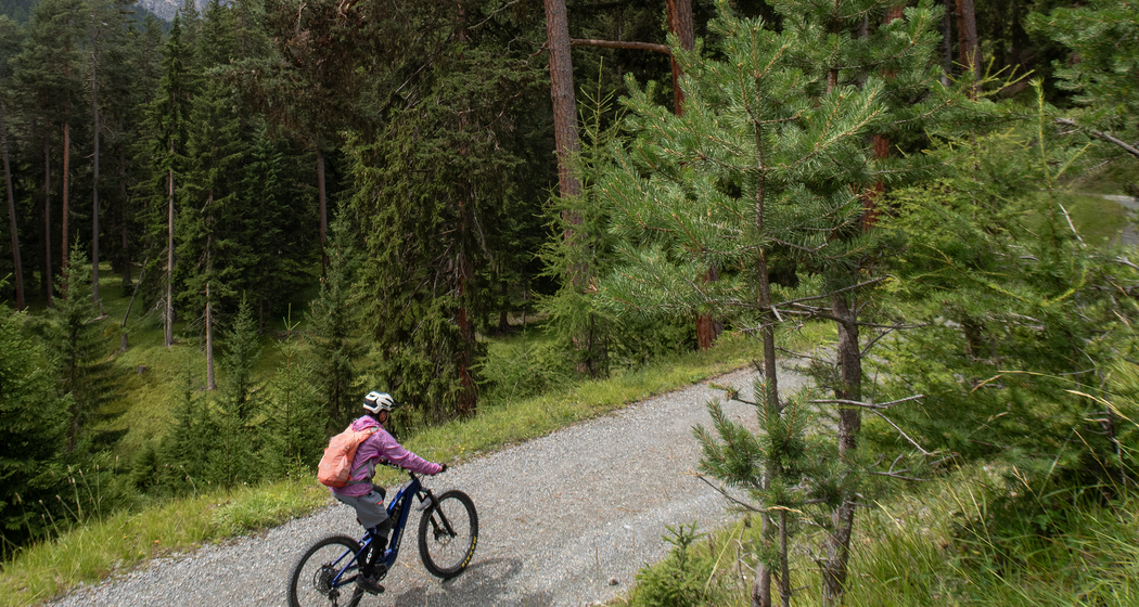 Tarasp (chm_65564e0_img)