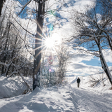 Innauen-Weg Samedan–La Punt (chm_664493f_img)