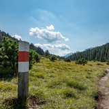 Kinderpfad Champlönch (chm_66761bc_img)