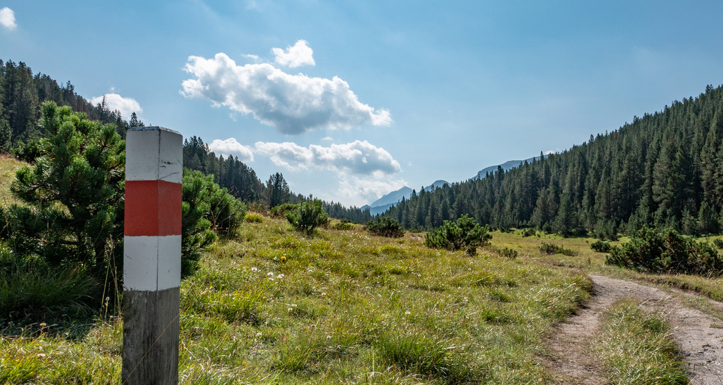 Kinderpfad Champlönch (chm_66761bc_img)