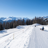 Prui-Ftan-Schlittelweg (chm_668d546_img)