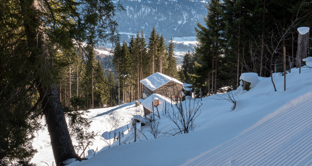 Winterwanderweg Siat–Falera (chm_6822b07_img)