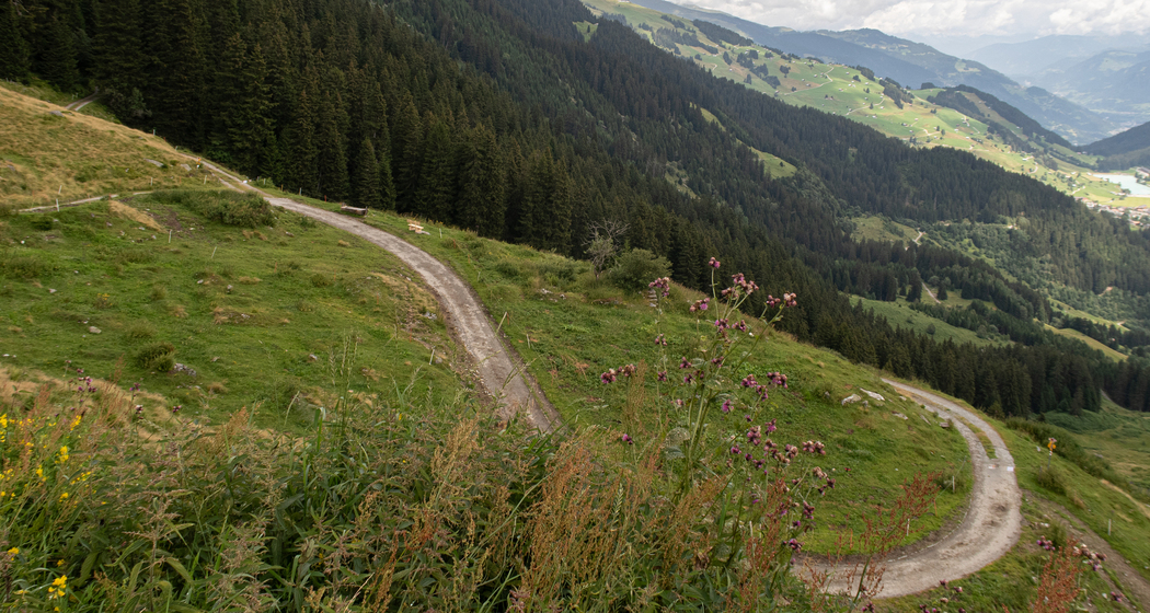 Plaids Bike (chm_6bd6378_img)