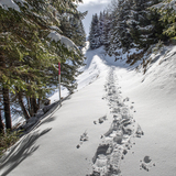 Schneeschuhtrail Panüöl–Prodalp (chm_6ebaf89_img)