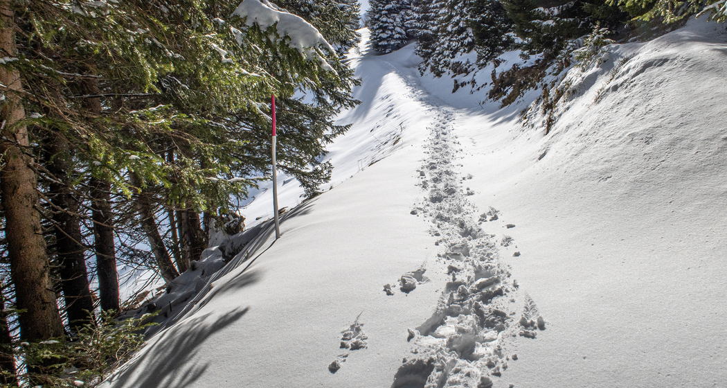 Schneeschuhtrail Panüöl–Prodalp (chm_6ebaf89_img)