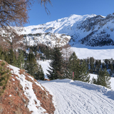 Senda Alp da Munt–Alp Champatsch (chm_6fba061_img)