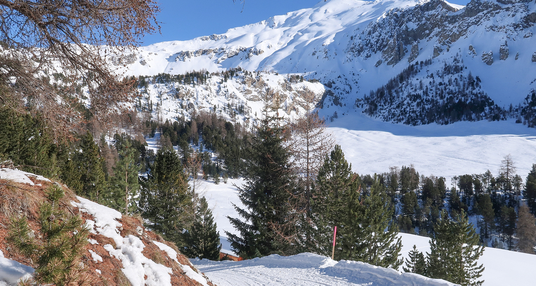 Senda Alp da Munt–Alp Champatsch (chm_6fba061_img)