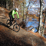 Rhäzünser Rheinauen (chm_6fc32db_img)