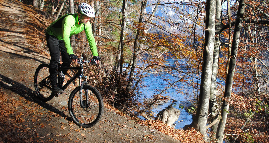 Rhäzünser Rheinauen (chm_6fc32db_img)