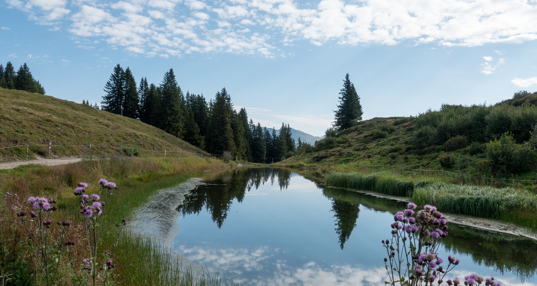 Dreibündenstein Panoramaweg (chm_77190e2_img)