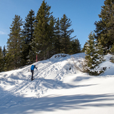 Schneeschuhtrail Plattis (chm_804dcf6_img)