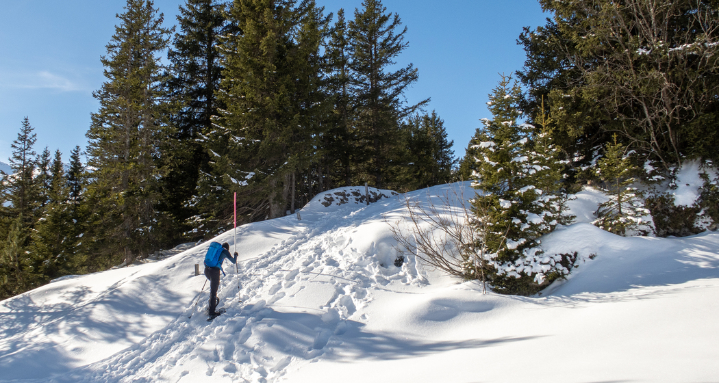 Schneeschuhtrail Plattis (chm_804dcf6_img)