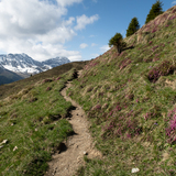 Schanfigger Höhenweg: Stage 3 (chm_840642e_img)