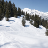 Roggi’s Trail (chm_86053a7_img)