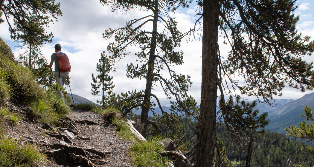 Senda Val Müstair (chm_8646c78_img)