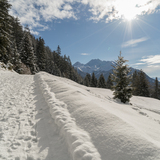 Rofna-Lantsch-Weg (chm_8b16e36_img)