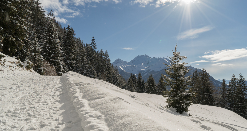 Rofna-Lantsch-Weg (chm_8b16e36_img)