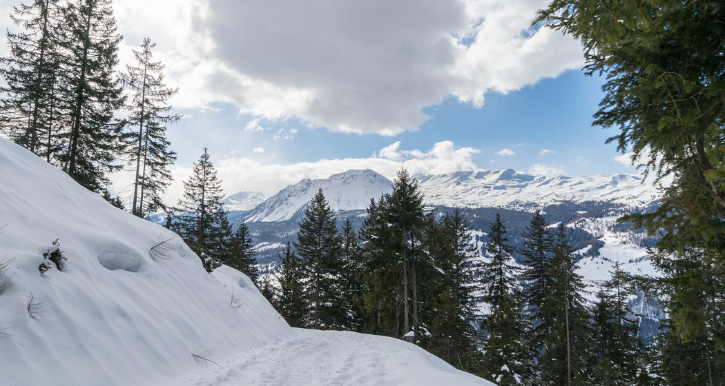 Val-Meltger-Schneeschuhtrail (chm_8d53d0e_img)