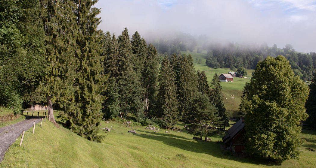 Wildmannli Bike: Etappe 1 (chm_8f47780_img)