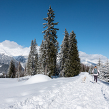 Tegia Nova Trail (chm_9015053_img)