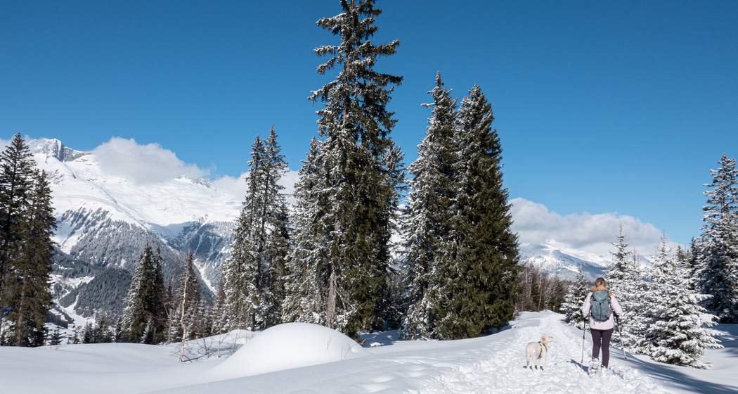 Tegia Nova Trail (chm_9015053_img)