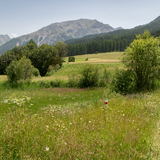 A la riva dal Rom (chm_916c655_img)