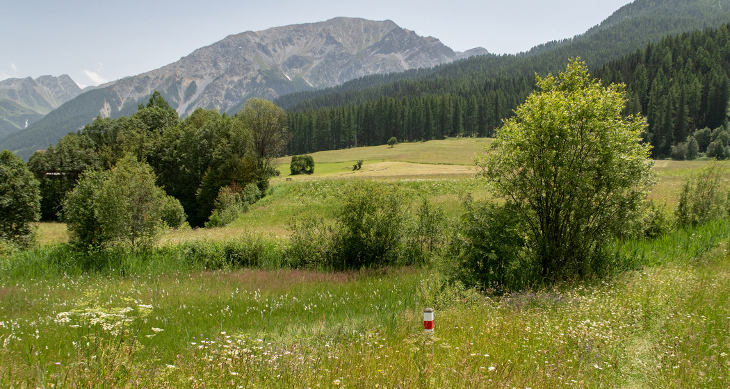 A la riva dal Rom (chm_916c655_img)