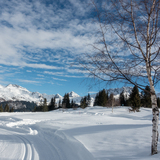 Maran-Trainingsloipe (chm_917926a_img)