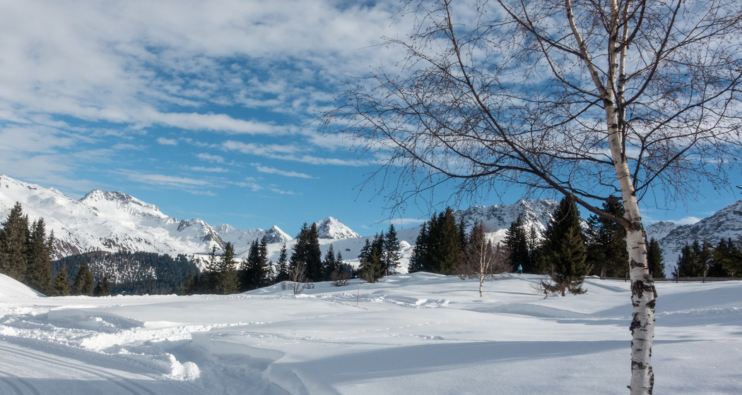 Maran-Trainingsloipe (chm_917926a_img)