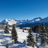 Prätschalp-Winterwanderweg (chm_91a13f6_img)