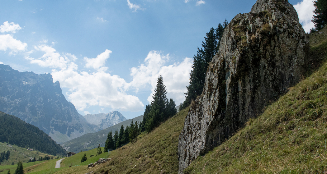 Radons Bike (chm_943d741_img)