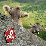 Pian Cales (chm_9651145_img)