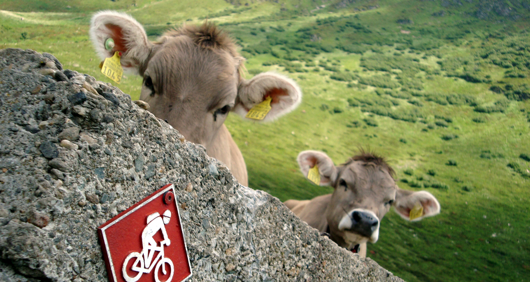 Pian Cales (chm_9651145_img)